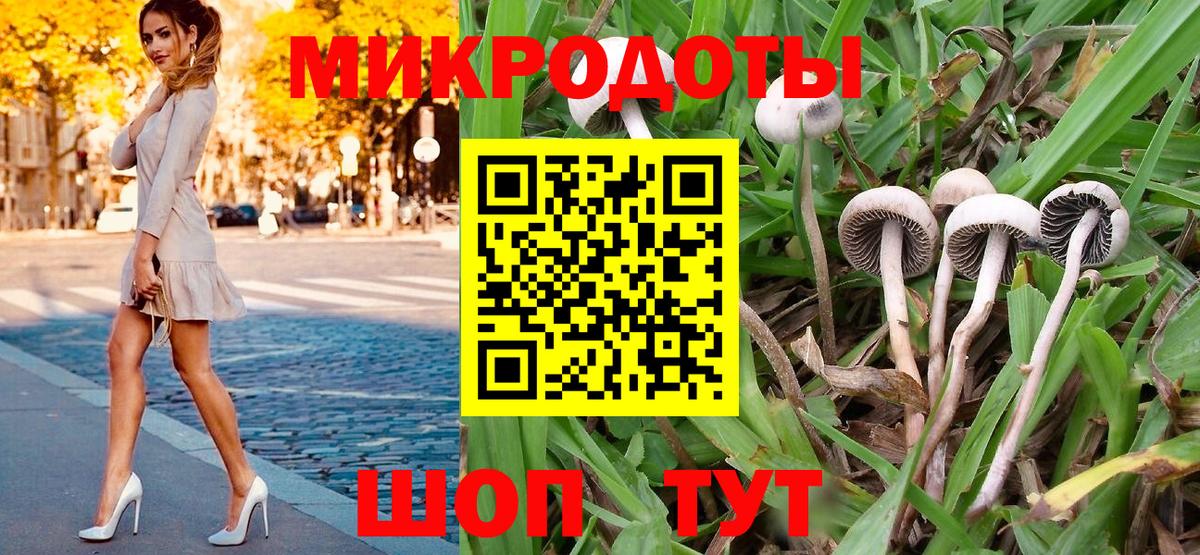 Псилоцибиновые грибы ЛСД  что такое   Псилоцибиновые грибы Psilocybine cubensis  Топки  Вход с VPN 